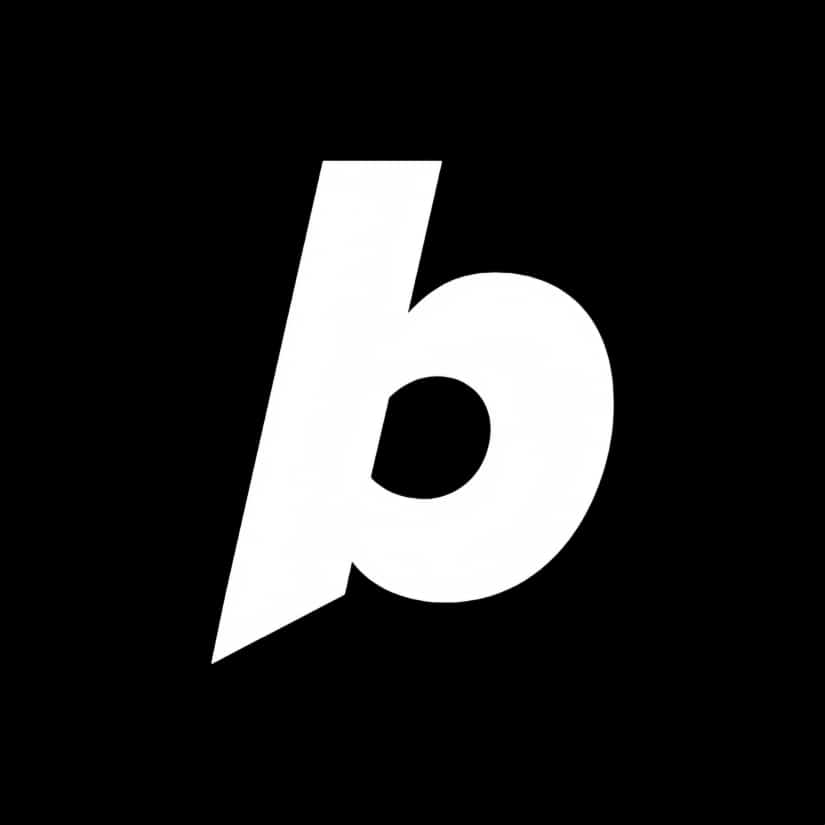 Bolt网站图标