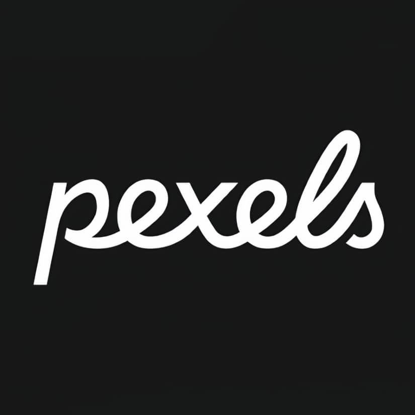 Pexels Videos – 高质量免费商用的视频素材网站图标
