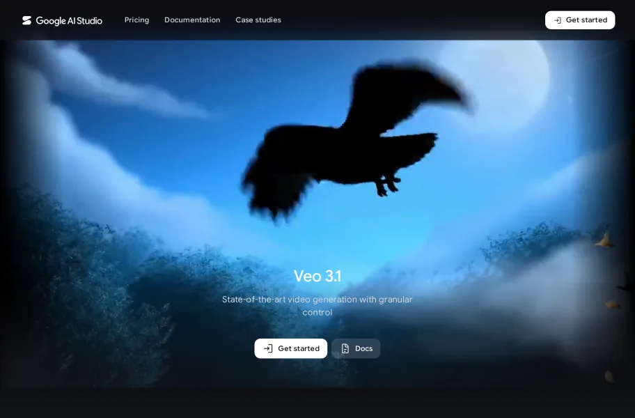 Google Veo（Veo 3）官网首页截图